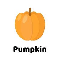 Vector illustration. Vegetable. pumpkin