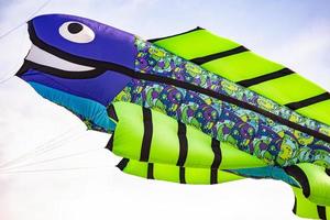 Flying fish-shaped kite photo