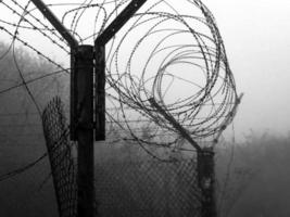 Barbed wire and fog photo