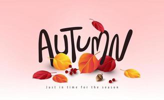 Variety of autumn leaves falling Autumn banner background vector