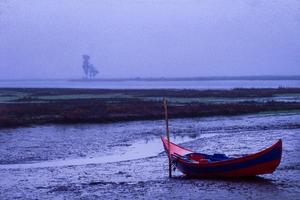 A boat called Moliceiros in Aveiro, Portugal photo