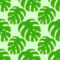 fondo de color transparente monstera vector