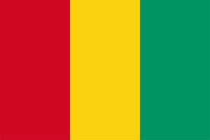 Guinean Flag of Guinea vector