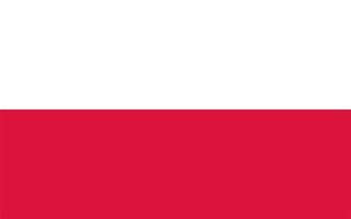 bandera polaca de polonia vector