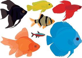 Aquarium colorful tropical fish collection vector illustration