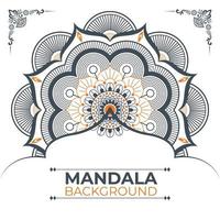 Creative And Unique Mandala Art Design vector