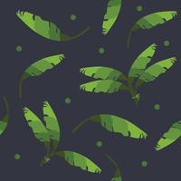 beautiful banana leaf pattern with dark background vector