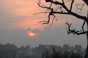 Hermosa vista del amanecer con árboles silueta de Tamil Nadu en India foto