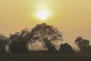 Hermosa vista del amanecer con árboles silueta de Tamil Nadu en India foto