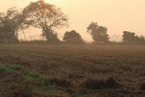 Hermosa vista del amanecer con árboles silueta de Tamil Nadu en India foto