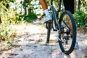 Mountain cyclists sitting on bicycles photo