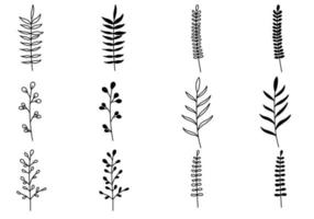 conjunto de planta de doodle vector