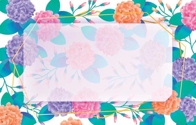 Colorful Hydrangea Background