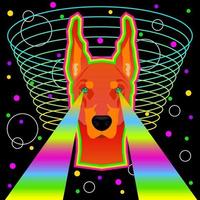Dog pop art for night club party, show poster, t shirt print vector