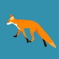 Abstract cartoon fox pattern. Simple fox portrait for t shirt print vector