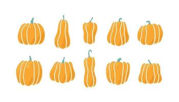 Pumpkins of different shapes. Hand drawn vector illustration