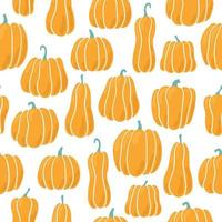 Pumpkin seamless pattern. Pumpkins of different shapes vector