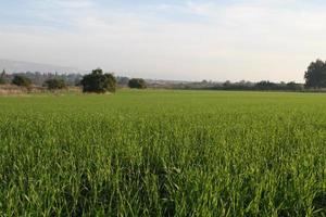 Amazing Landscapes of Israel, Views of the Holy Land photo