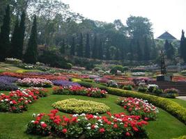 flores en el jardín botánico de las indias, coloridas y hermosas foto