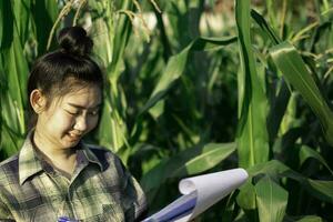 young farmer observing some charts corn in filed photo