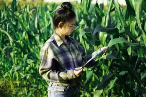 joven agricultor observando algunos gráficos de maíz en archivados foto