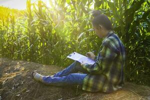 young farmer observing some charts corn in filed photo