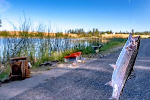 Pesca de truchas en un pequeño lago en el estado de Washington. foto
