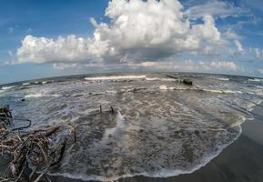 Beach scenes at hunting island south carolina photo