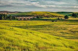 magical wheat farm fields in palouse washington photo