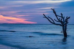 scenes around hunting island south carolina in summer photo