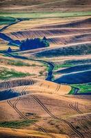 campos de cultivo de trigo mágico en palouse washington foto