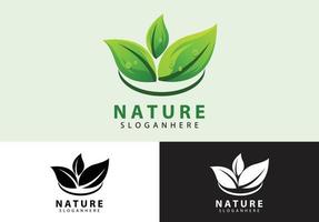 concepto de logotipo de naturaleza de hoja vector