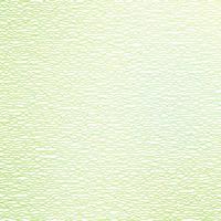 Dark Green vector background with curves.