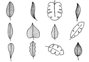 Leaves in Doodle Style vector