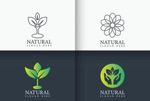 diseño de logotipo natural vector