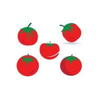 tomato vector ilustration