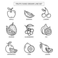 frutas dibujadas a mano con un conjunto de arte lineal vector