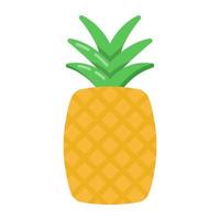 Pineapple and Refreshing Furit vector