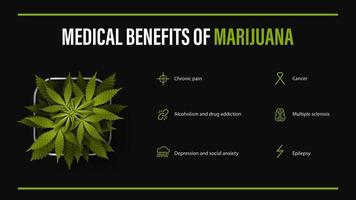 Medical benefits of marijuana, black poster with infographic and bush vector