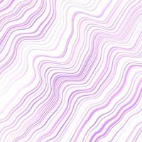 Light Purple vector background with curves.