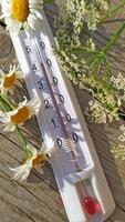 termómetro con alta temperatura entre margaritas. verano caluroso anormal.