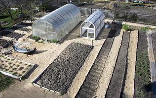 Vegetable garden top view. The landscape of the garden area photo