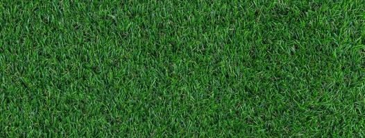 Artificial grass texture banner photo