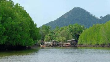 Reisen mit dem Bambus-Rafting video