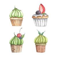 Set of different cupcakes. Watercolor illustration. vector