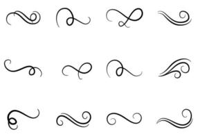 Calligraphy Swirls Illustration vector