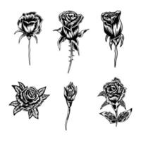 Set of roses vector