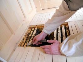 abuelo apicultor trabaja en su propio colmenar rural