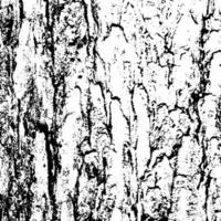 Abstract tree bark grunge texture background vector