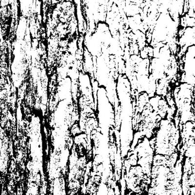 Abstract tree bark grunge texture background
